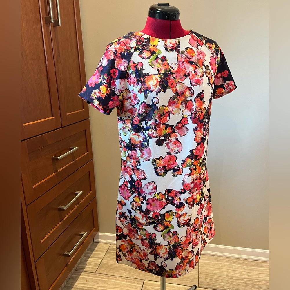EUC π Anthropologie Watercolor Floral Short Sleeve Shift Dress Sz 6 / M
